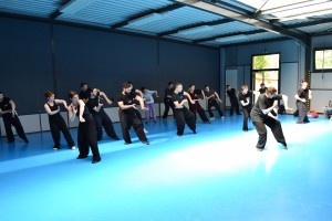 hunggarnancy-artsmartiaux-wushu-kungfu-ericbourbonnais-18juin2016-19   